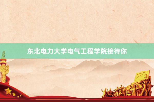 东北电力大学电气工程学院接待你
